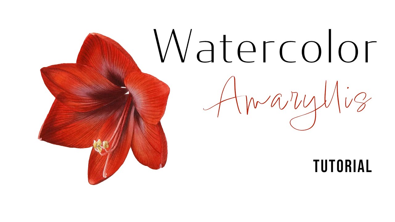How to paint red Amaryllis flower with watercolors | Watercolor painting tutorial