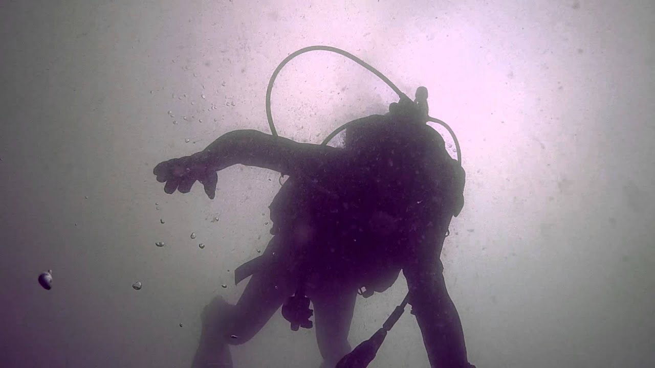 Buceo Open Water Nitrox Diver 2014