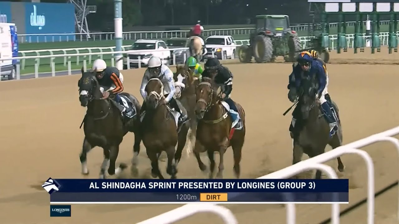 G3・アルシンダガスプリント2026 / Al Shindagha Sprint Presented By Longines 2026