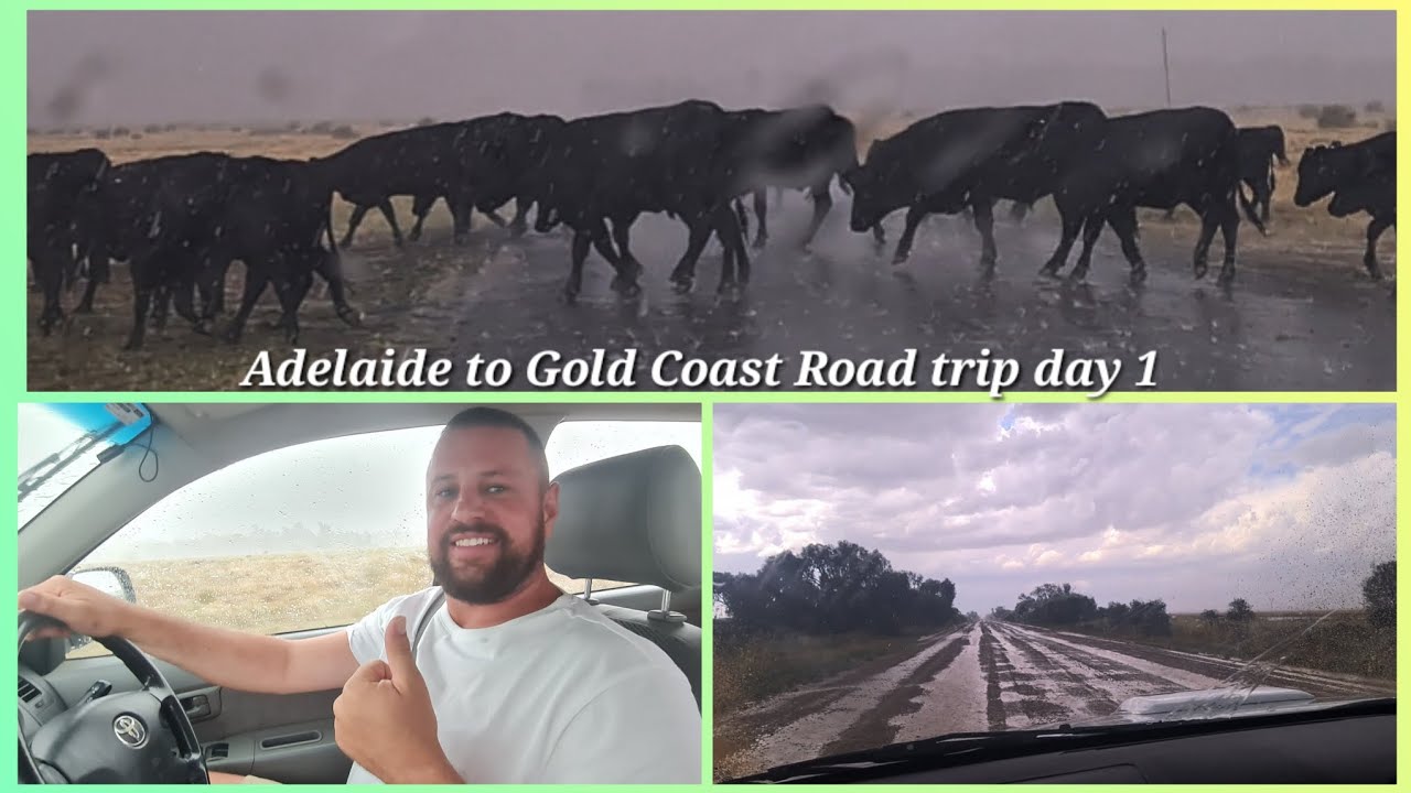 Adelaide to Gold Coast road trip. Hail, Cows and dirt roads #roadtrip #goldcoast #adelaide