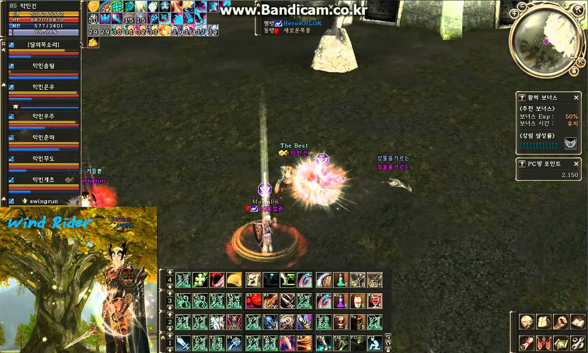2011-01-05 리니지2 [Lineage2] 악인 vs LOK 팟대팟 교전