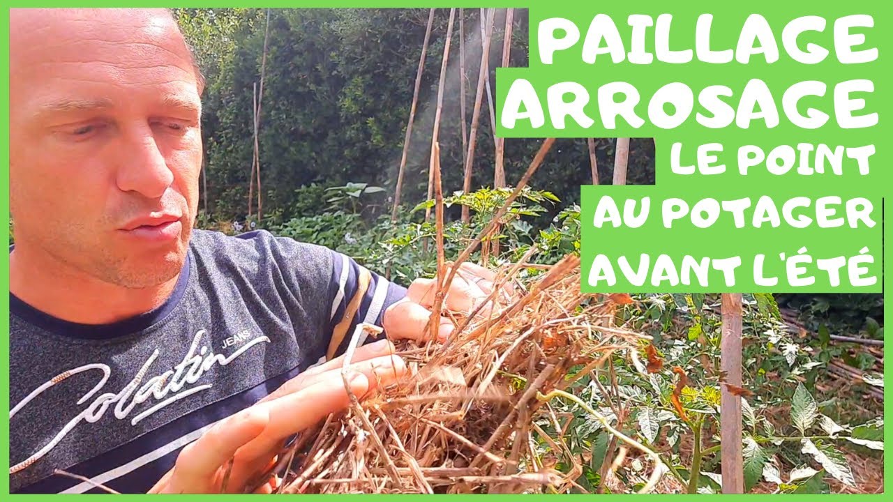 PAILLAGE, ARROSAGE, on fait le point au potager !