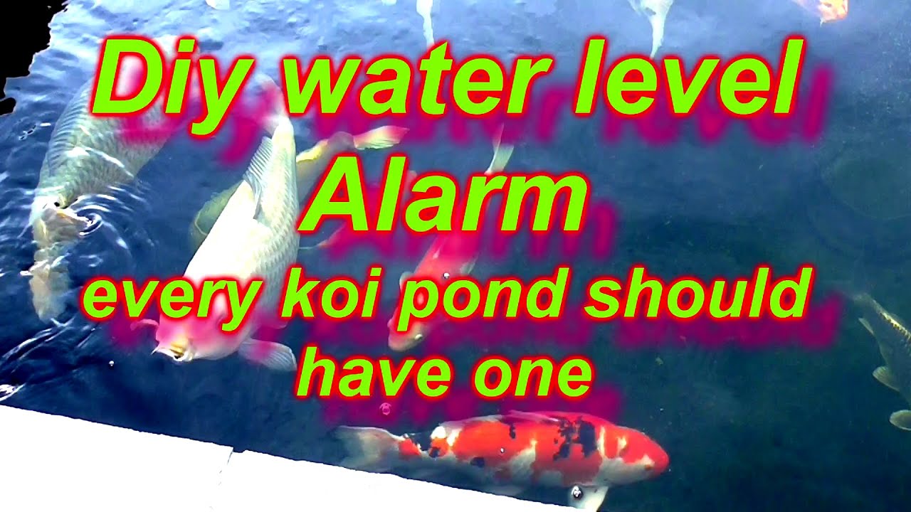 *** KOI POND WATER LEVEL ALARM *** DIY KOI POND BUILDING AND GETTING THE BEST LOOKING POND AND KOI *