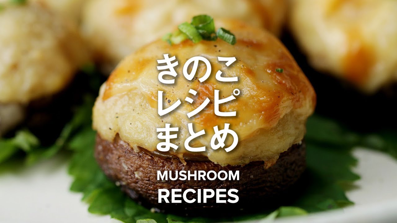 きのこレシピ8選♪エリンギからしいたけ、まいたけまで！ / 8 Mushroom Recipes