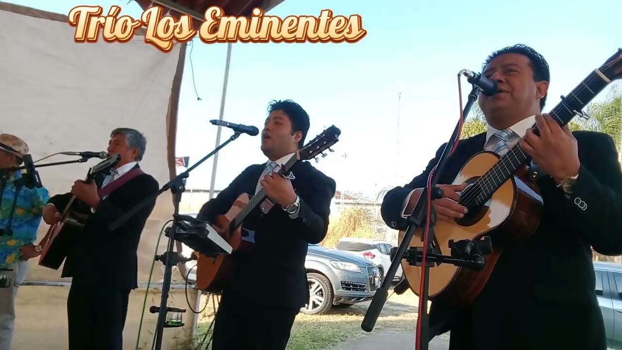 Gema - Trío Los Eminentes #losdandys Güicho Cisneros 