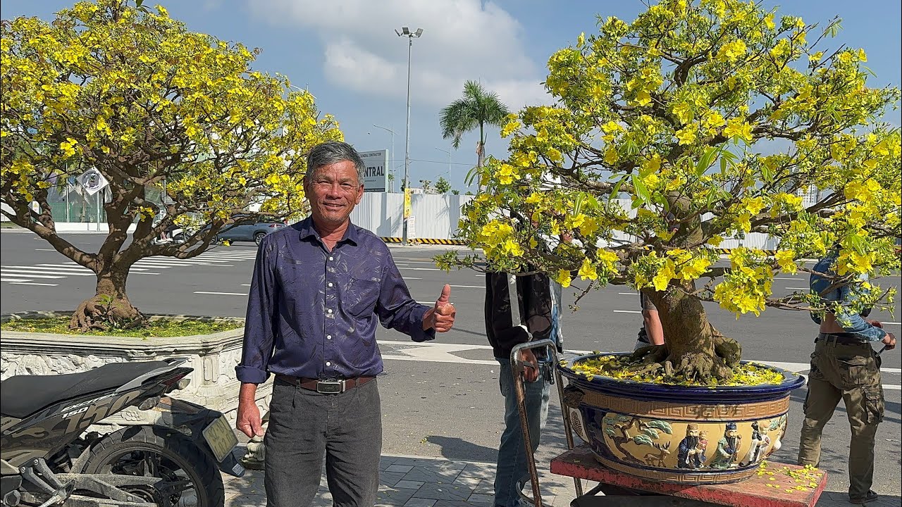 Hoạt Động Cuối Năm Của Các Nhà Vườn Dời Chuyển Cây Về An Tết Xuân 2026