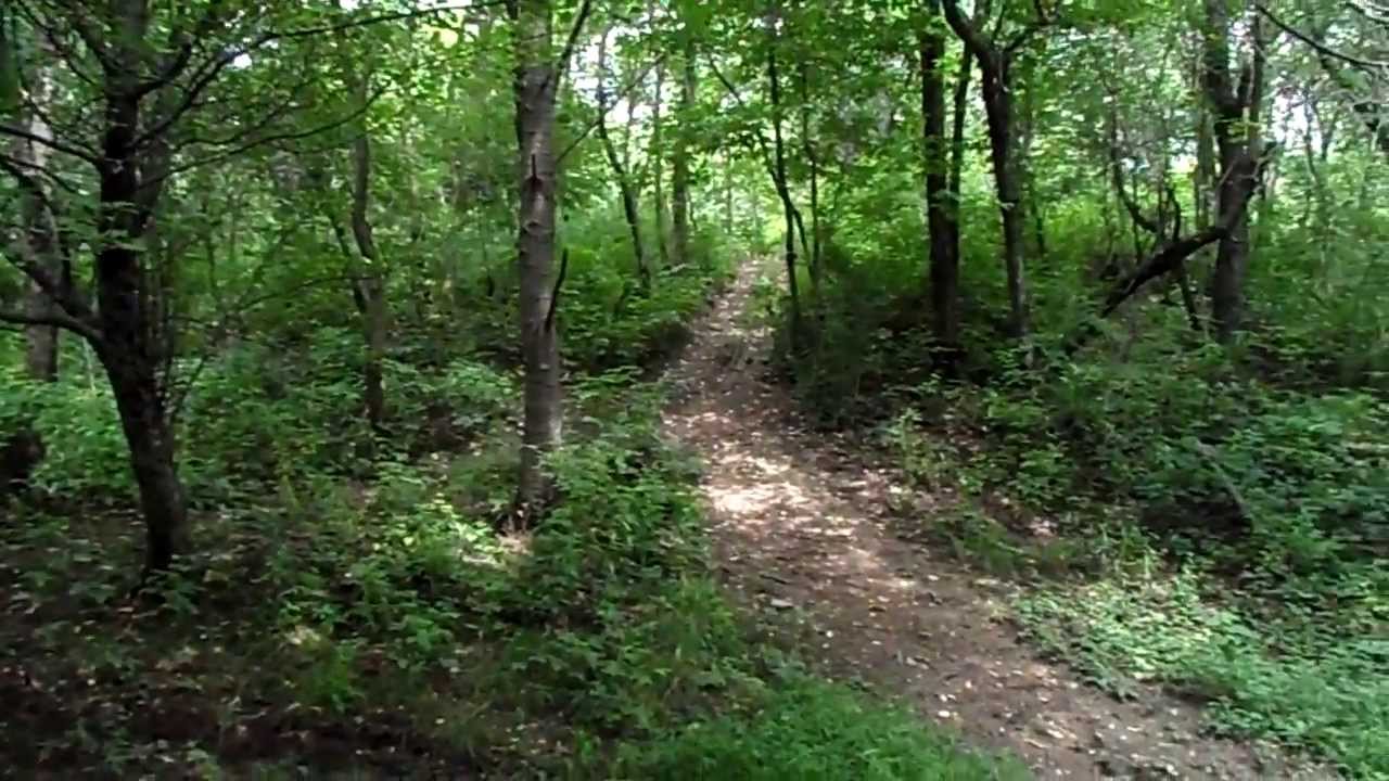 1995 Yamaha RT180 Blooper