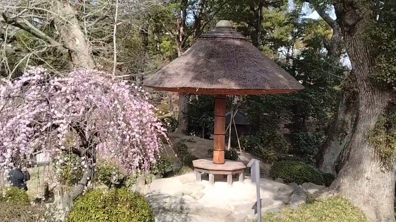 回遊式日本庭園　縮景園
