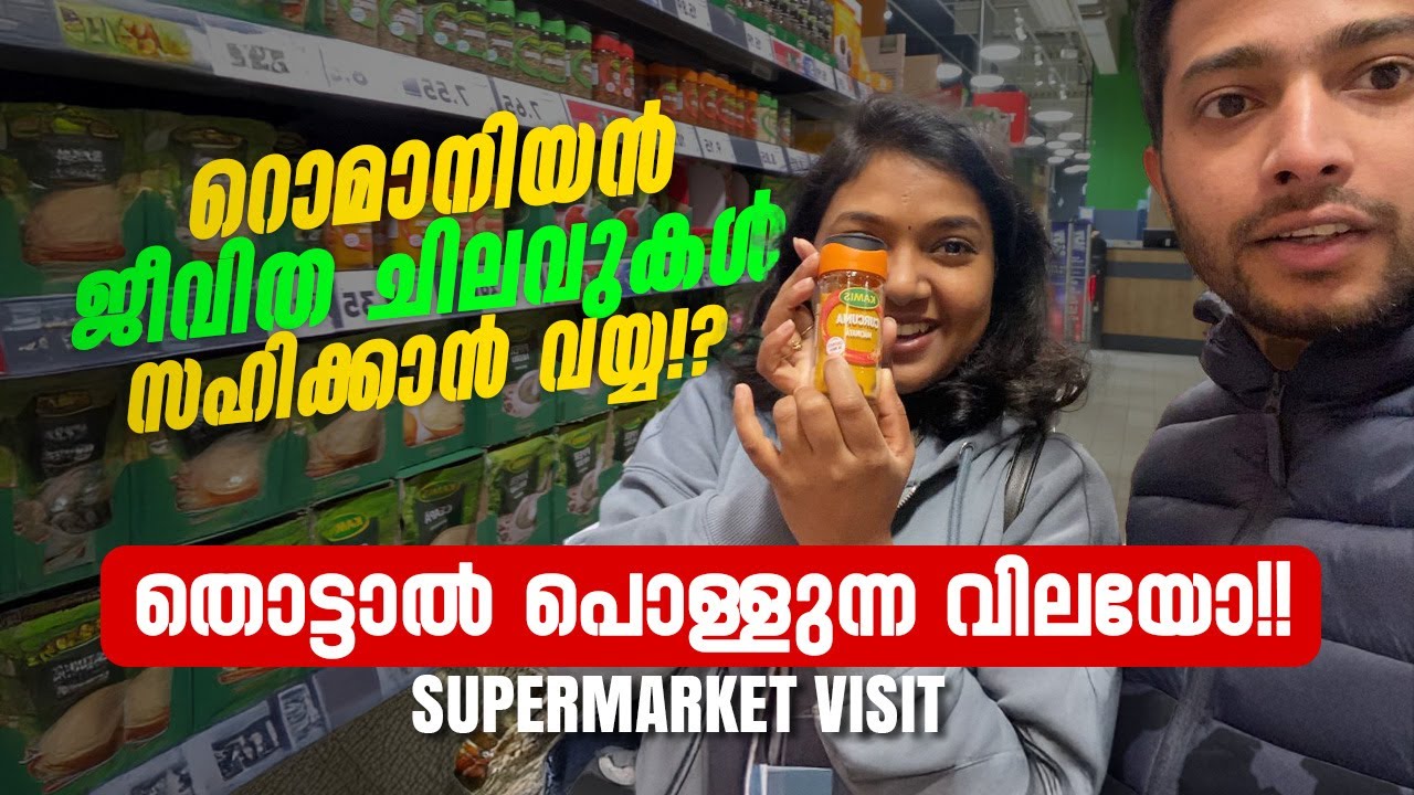 ROMANIAN സൂപ്പർ മാർക്കറ്റും ജീവിത ചിലവുകളും | GROCERY SHOPPING VLOG | ROMANIAN MALLUS