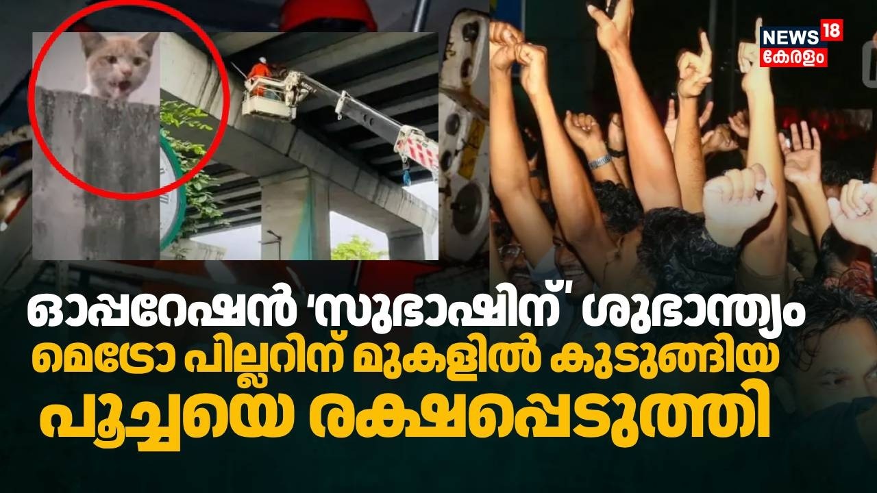 ‘സുഭാഷി’നെ താഴെയിറക്കി; മെട്രോ പില്ലറിൽ കുടുങ്ങിയ പൂച്ചയെ രക്ഷപ്പെടുത്തി | Kochi Metro Cat Rescue