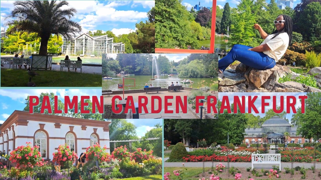 Palmen🌴 Garden Frankfurt🇩🇪|Botanic Garden Frankfurt Germany 2022| #garden #frankfurt #palmen