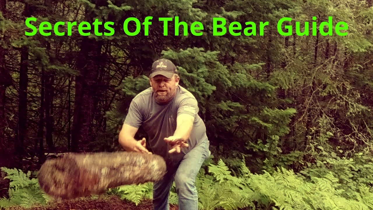 Bear season in Michigan's UP 2022 Part 2 - 30 years of Secrets!