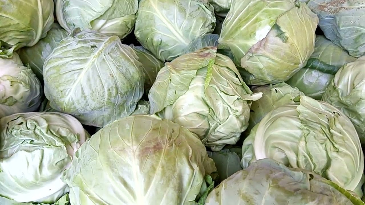 Капуста оптом Великие Копани. Купить и Продать. Direct Delivery