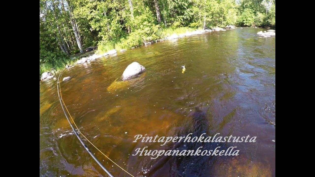 Pintaperhokalastusta Huopanankoskella / Dry fly fishing in Huopana rapids