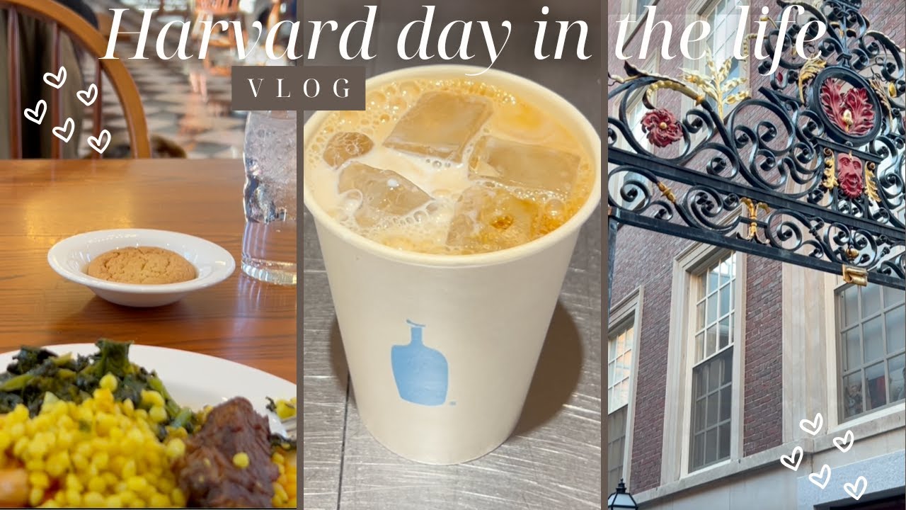 Day in the life of a Harvard grad & employee