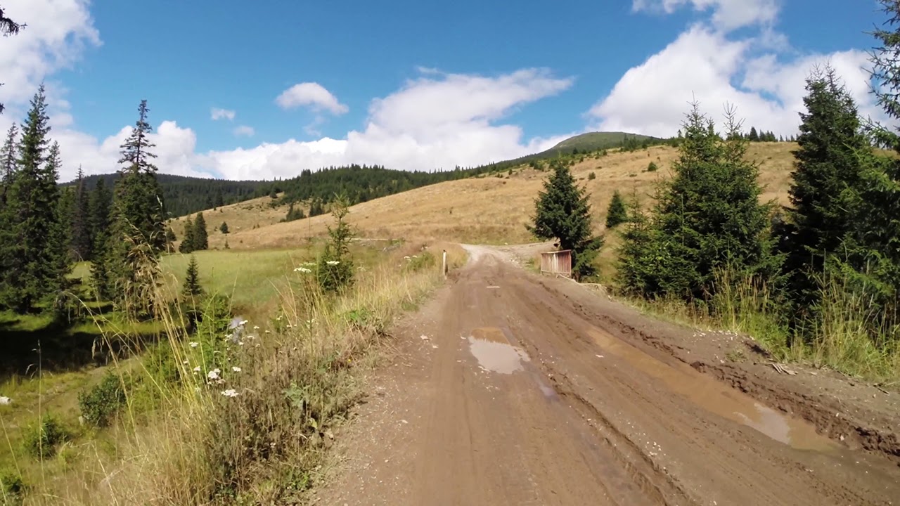 Valea Sadului - Vârful Șteflești, Munții Lotrului