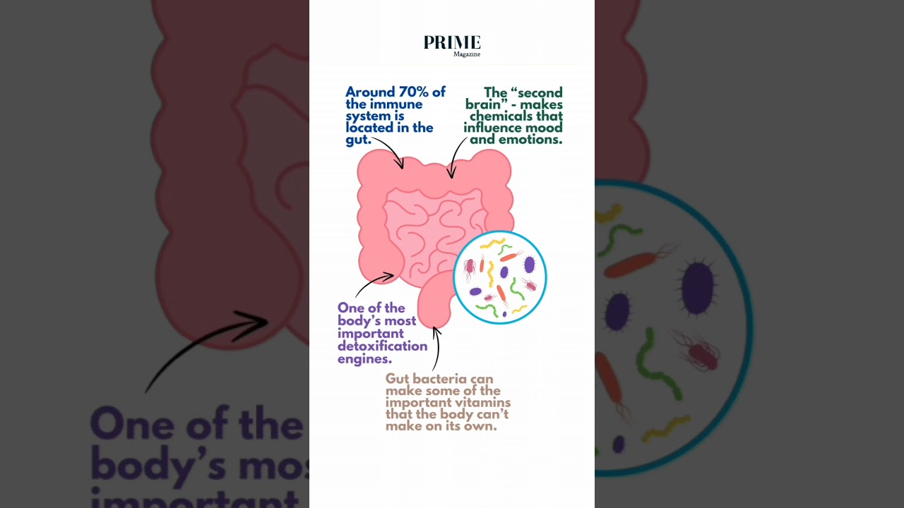 GUT FACTS 
