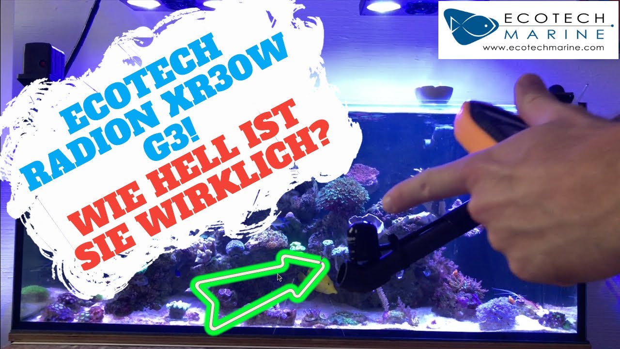 Wie hell ist die Ecotech Radion xr30w g3 wirklich?
