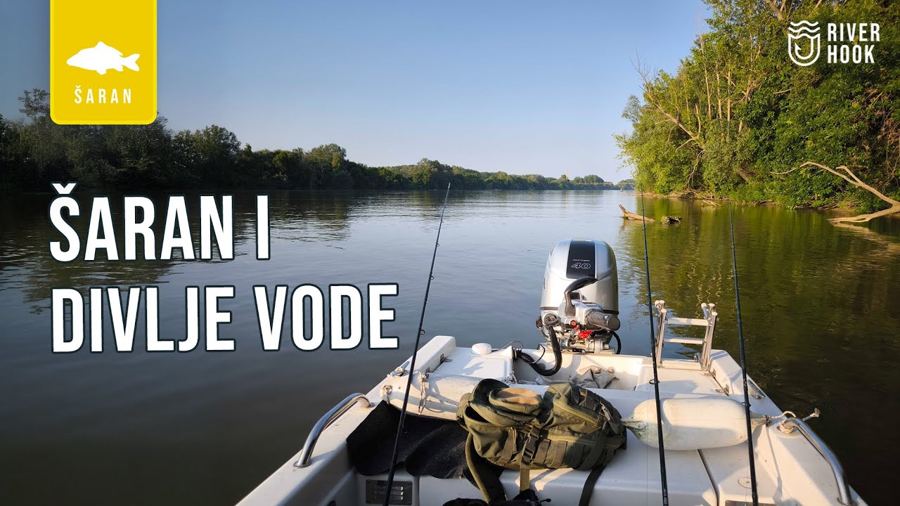 Pecanje sarana na divljim vodama