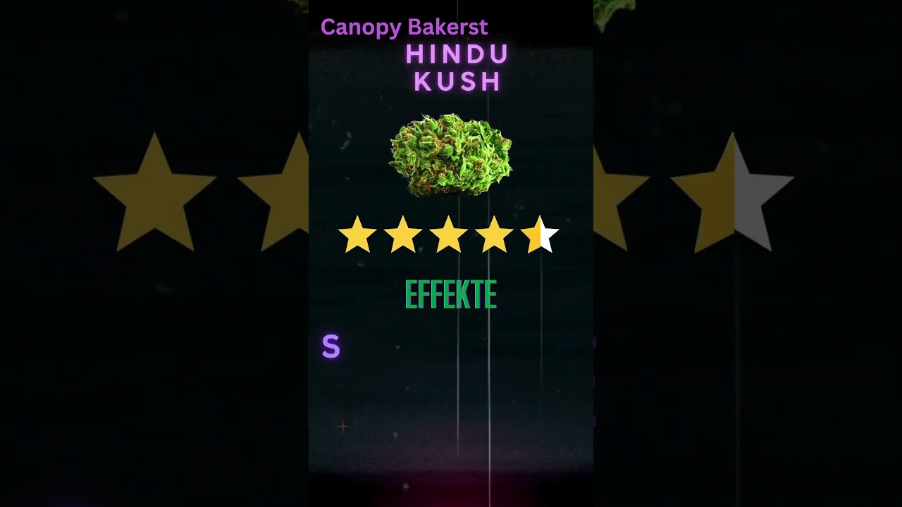 Hindu Kush &ndash; Indica-Strain des Tages! #cannabiscommunity