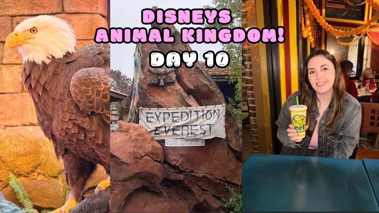 WE SAW A BALD EAGLE AT ANIMAL KINGDOM! 🌿The last time we see Dino land USA ✨ Disney Springs 🐘