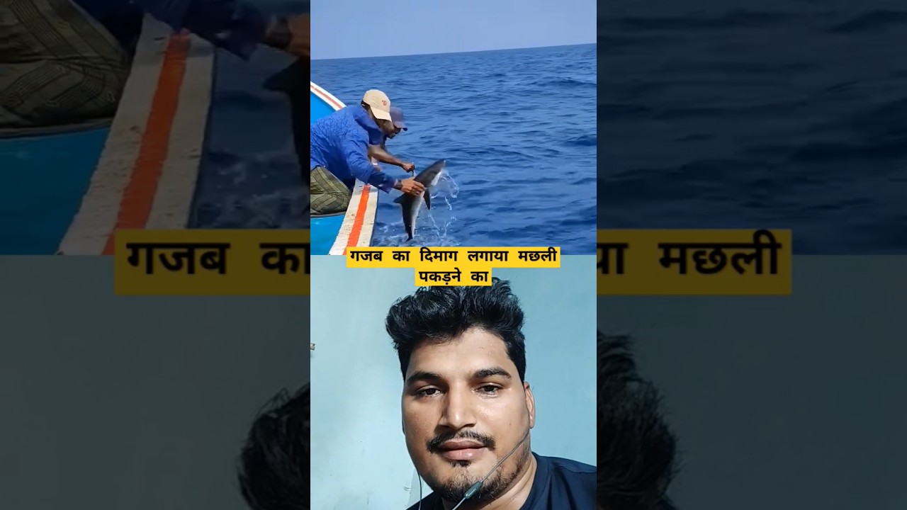 किस तरह पकड़ लिया मछली को #fishinglife #fishing #fishingcollab