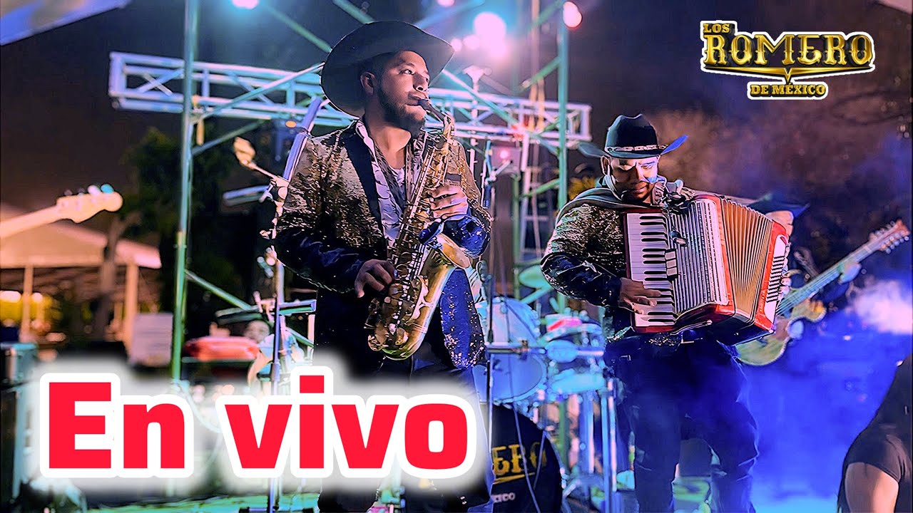 New regional Mexican Music . El gato de chihuahua en vivo (Cover)
