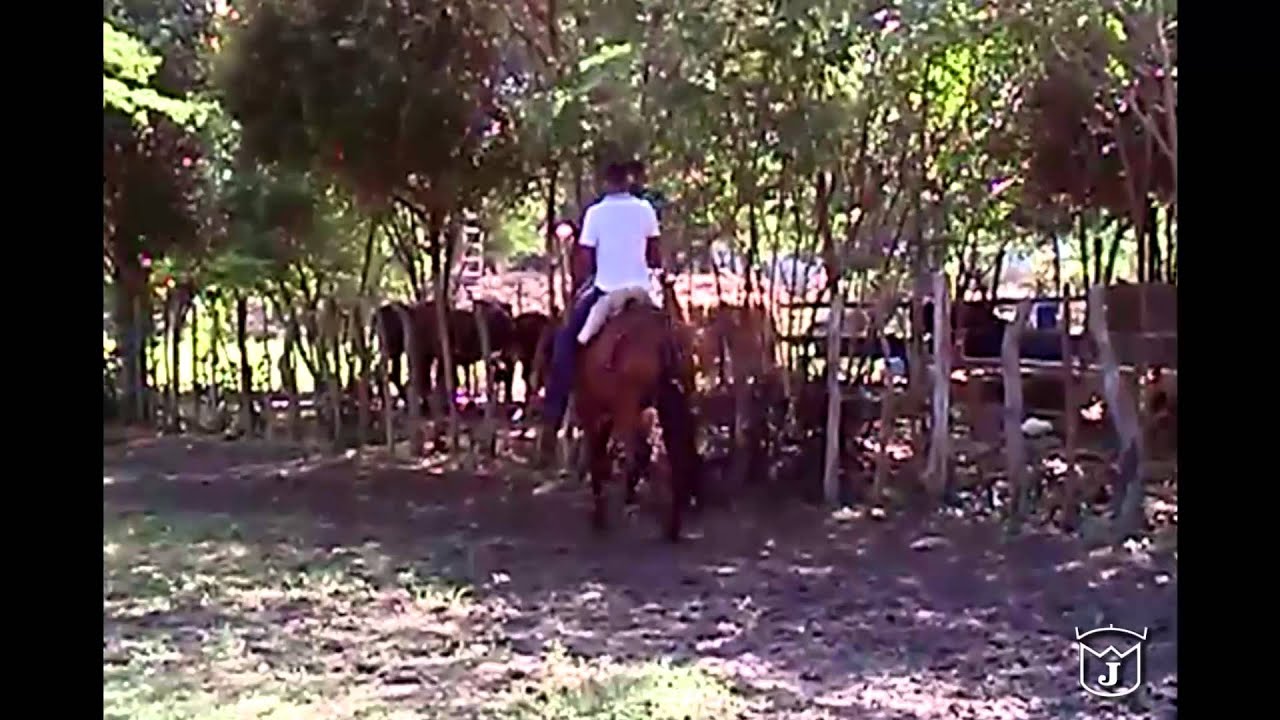 Hija de Paraiso de Villa Milena, trocha colombiana, 31 meses, video del 20 de diciembre de 2014