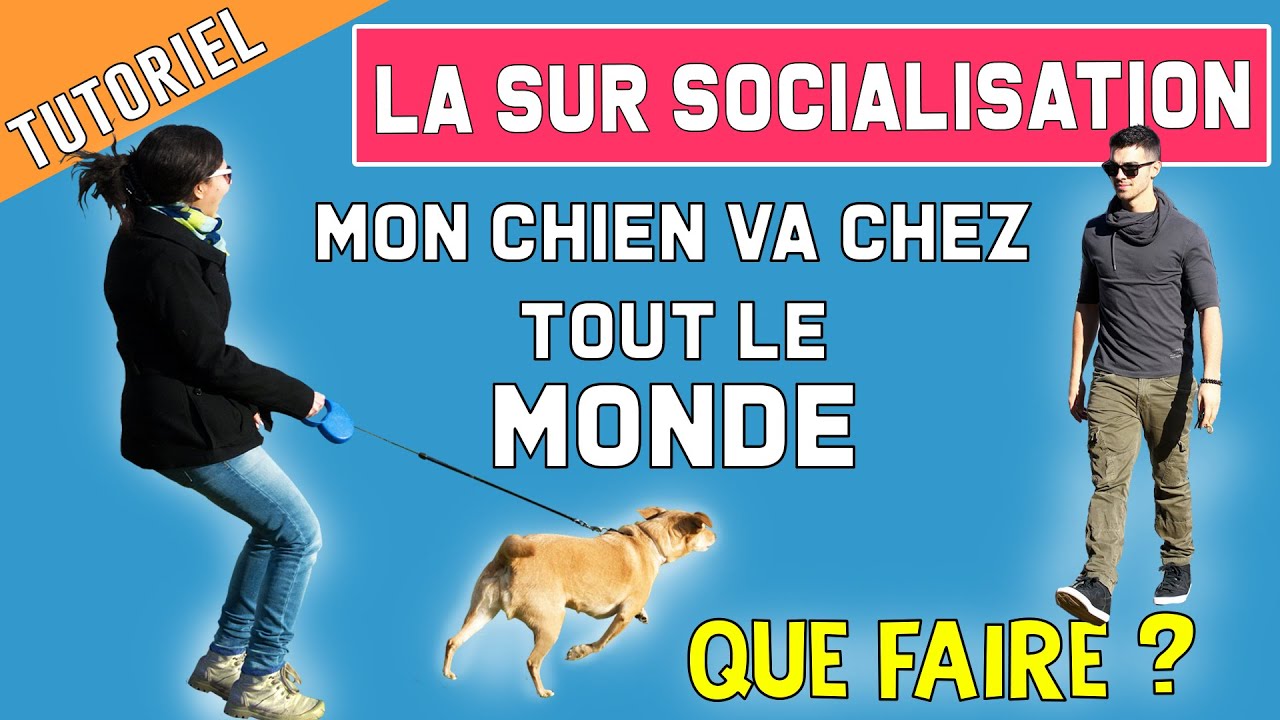 MON CHIEN VA CHEZ TOUT LE MONDE