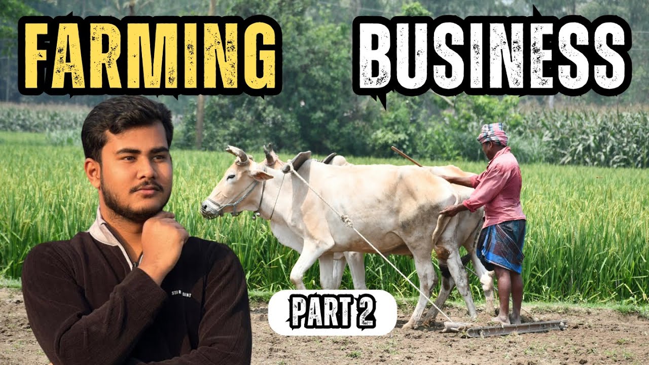 Farming Business Starting In Village | Part 2 | Mohammed Zonayed Siddike