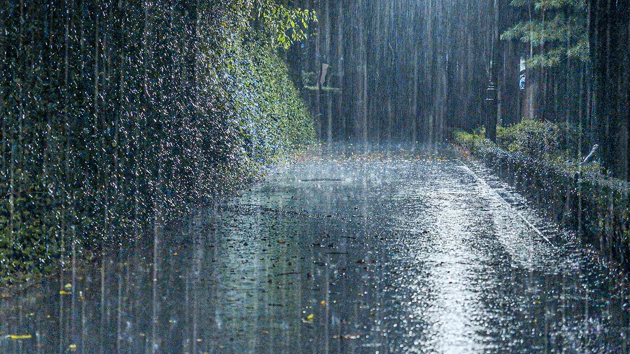 When You Toss and Turn All Night, Rain Sounds | Insomnia & Tinnitus Relief, Relaxing Sleep Music