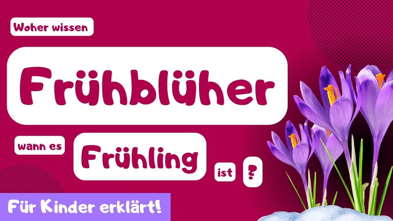 Woher wissen Fr&uuml;hbl&uuml;her wann Fr&uuml;hling ist? - Einfach erkl&auml;rt f&uuml;r Grundschul-Kinder.