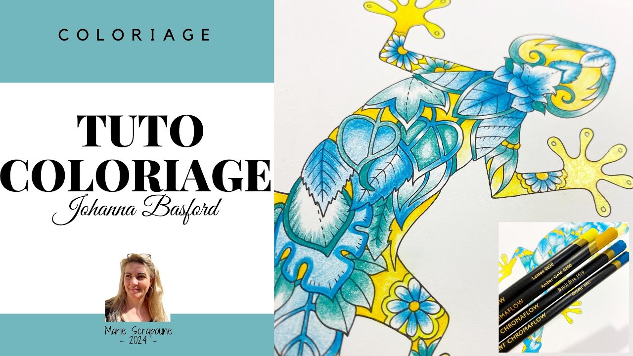 Coloriage : Technique du dégradé ultra facile pour un résultat ultra joli Johanna Basford Adulte