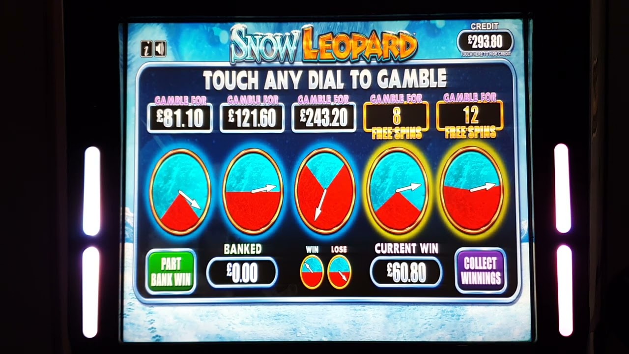 £500 Jackpot Snow Leopard