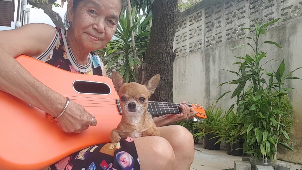 OB-LA-DI OB-LA-DA./Cover by Malinda.