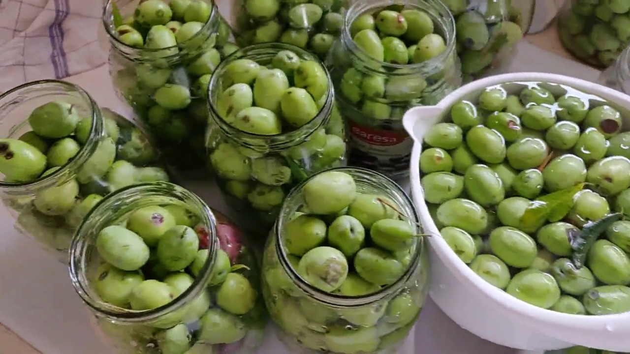 OLIVE IN SALAMOIA  tripoline