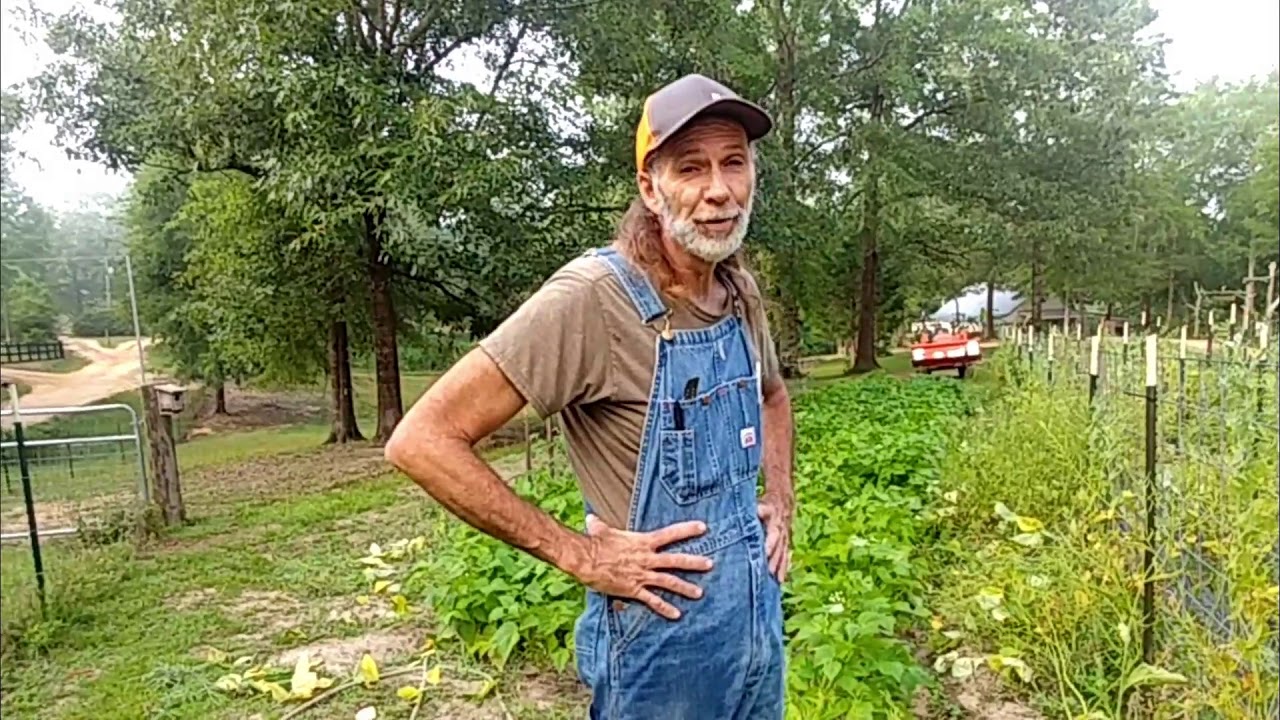 We Won't Plant THIS WAY Again! -- Green Beans