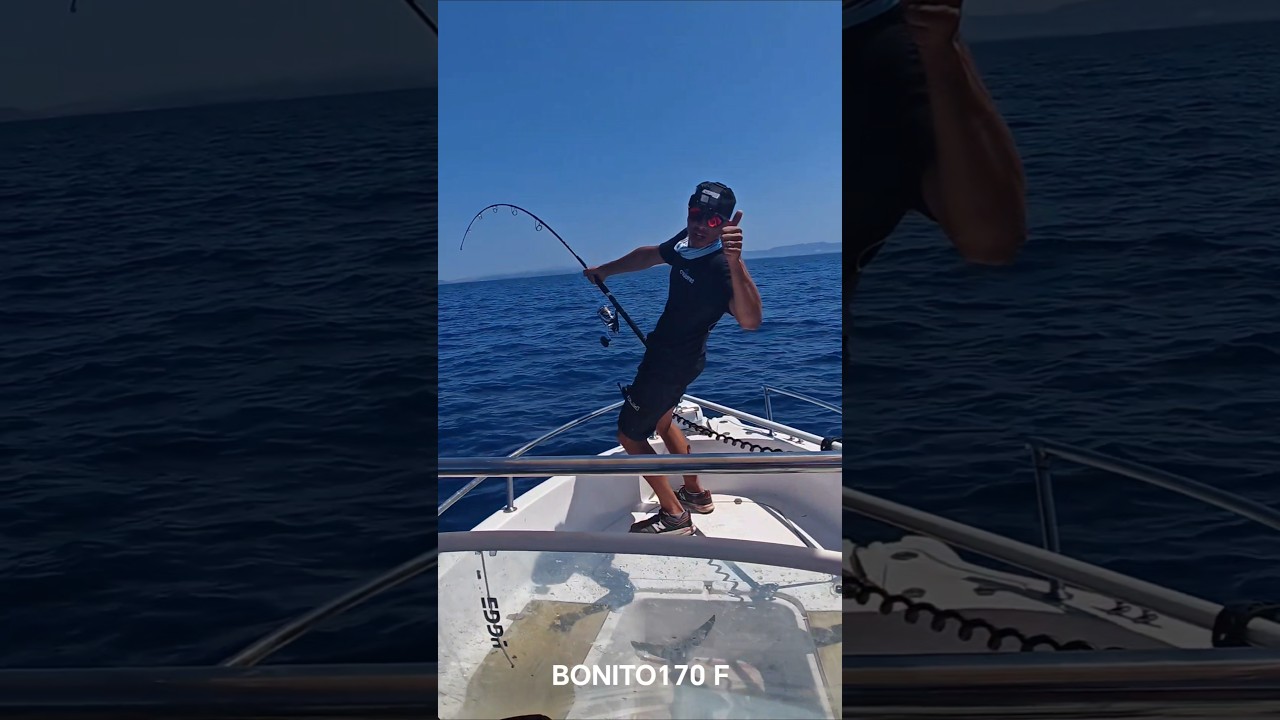 topwater bluefin tuna on #bonito170 floating stickbait #fishing #crealures #fish #tuna #tunafishing