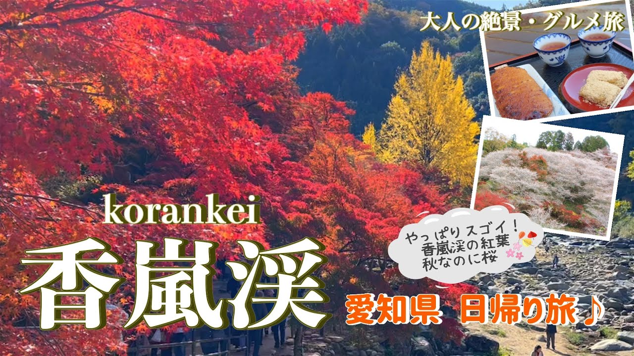 【愛知旅行vlog】香嵐渓で紅葉狩り♪絶景&グルメスポットを巡った秋満喫の日帰り旅♡ 香嵐渓｜足助の町並｜川見四季桜の里
