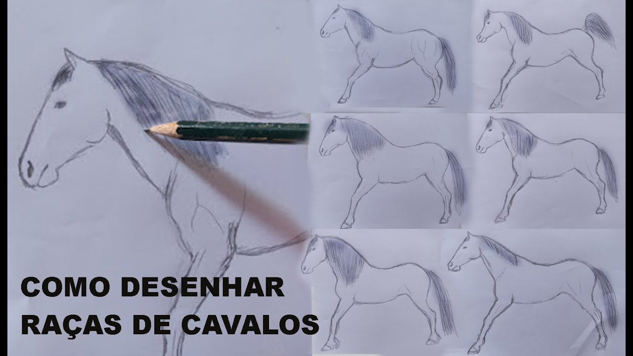 Como desenhar raças de cavalos