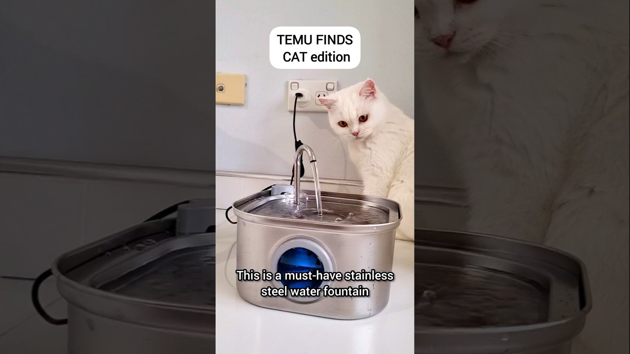 Keep your cat hydrated with this amazing Temu water fountain 😻