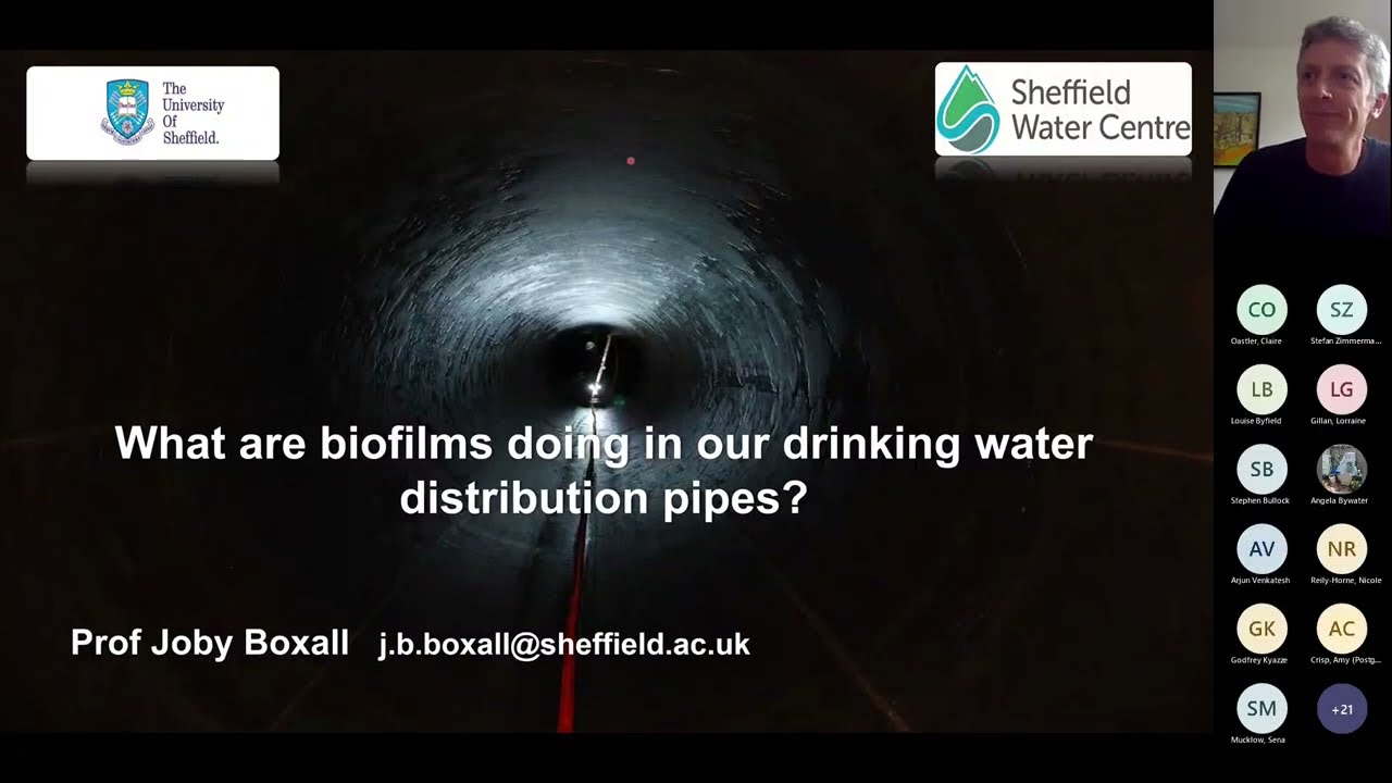 What are biofilms doing in our drinking water pipes? - An EB Network webinar