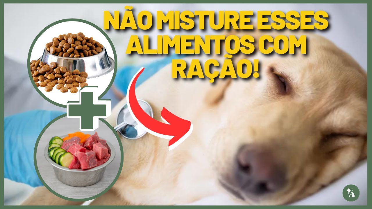 NÃO MISTURE esses Alimentos. Erro MUITO COMUM! Modo ERRADO de Misturar Ração com Alimentação Natural