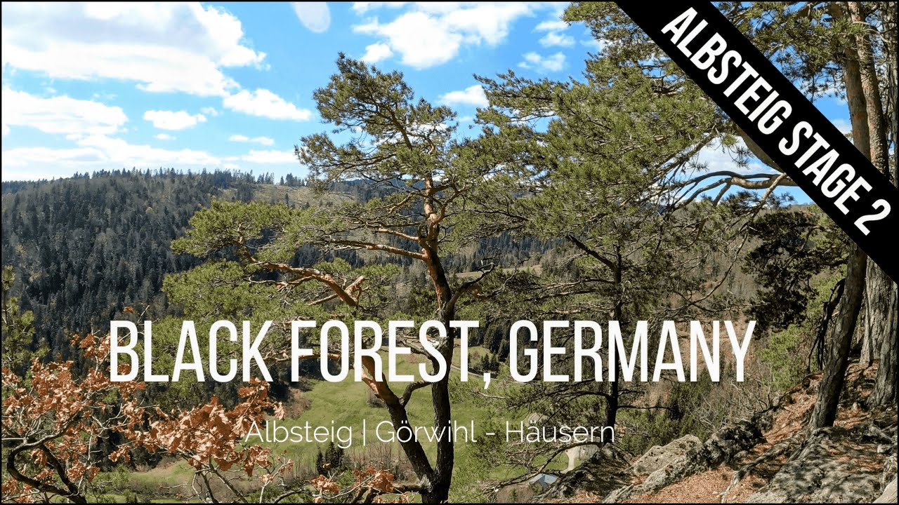 Albsteig | Stage 2/3 | Hiking from Görwihl to Häusern | Black Forest [Germany] | 4K
