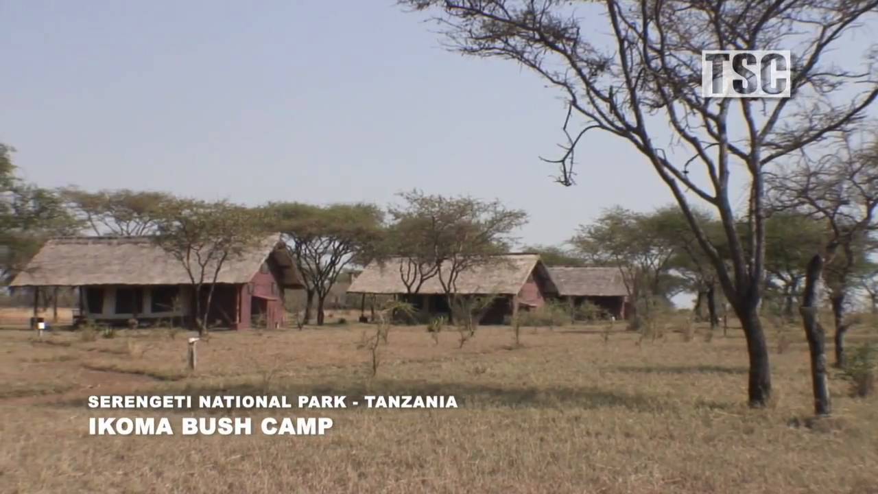 Ikoma Bush Camp, Serengeti National Park, Tanzania