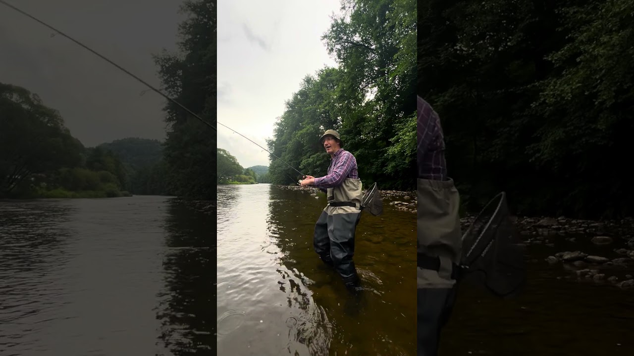 A Single Cast Trout With Jackall Micro Tappy - before the rain has come #jackall  #trout #fishing