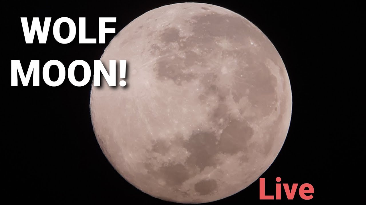 🔴Live: 100% Moon (Wolf Moon) – Full Moon Phase Through Newtonian Reflector Telescope