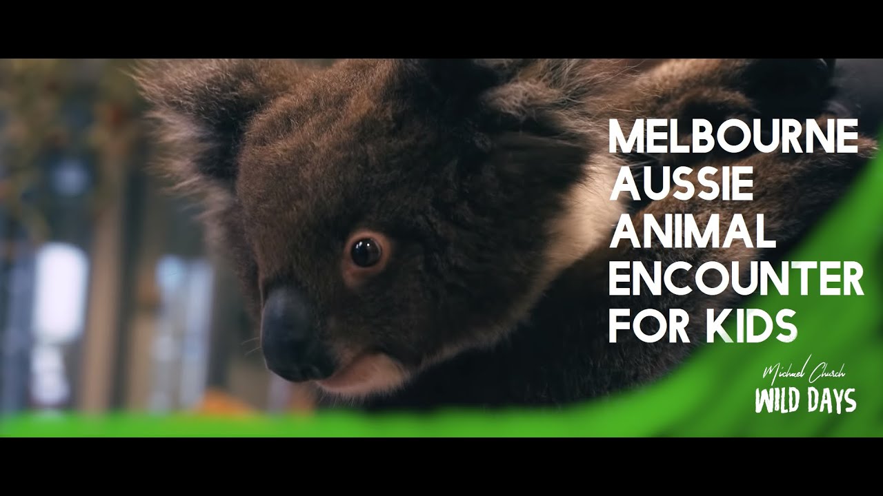 Kids Meet Australian Animals In Melbourne Vlog | Kids Learn About Aussie Animals | Australian Zoo