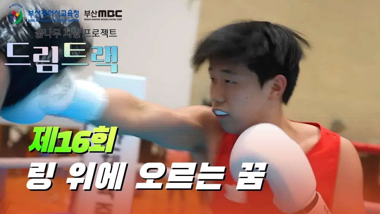 [복싱 , Boxing.,ボクシング 부산체육중고등학교] 링 위에 오르는 꿈 / Dreaming of stepping into the ring [드림트랙]