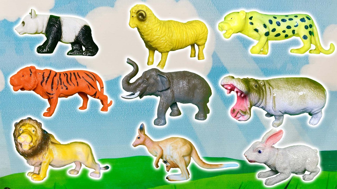 जंगली जानवरों के नाम | 20 Wild Animals for Kids | Learn Animal Names in Hindi.